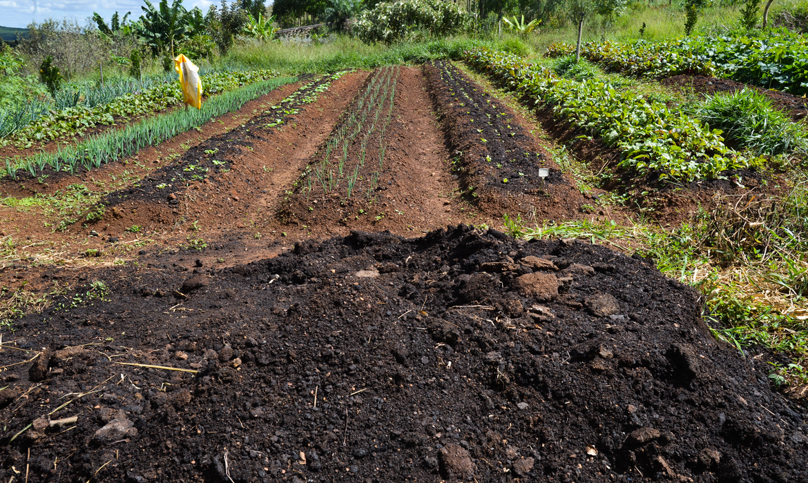 Você está visualizando atualmente Efeitos negativos são quase 10% do PIB global, diz FAO