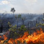 ALMT discute queimadas no Pantanal em 2023