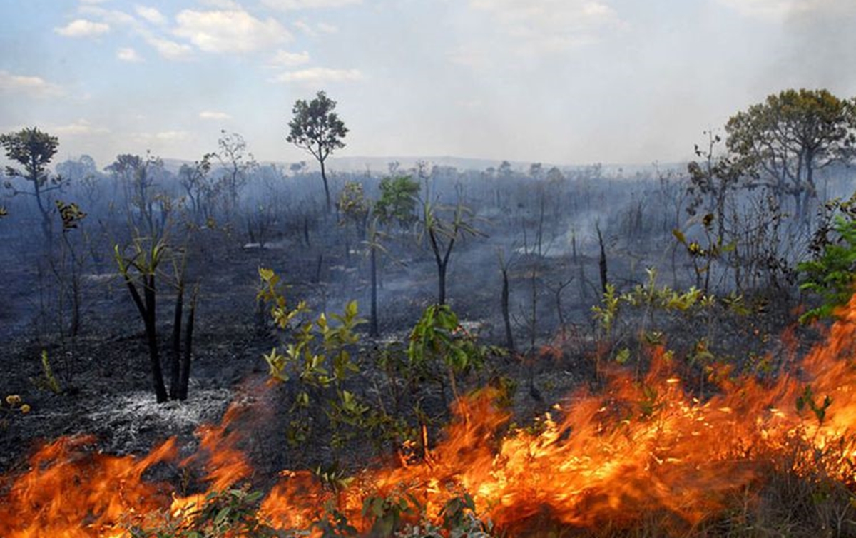 No momento, você está visualizando ALMT discute queimadas no Pantanal em 2023