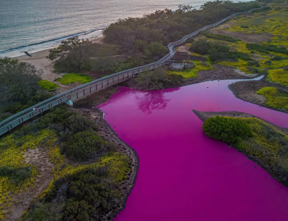 Você está visualizando atualmente Lago no Havaí fica rosa e acende alerta; entenda o fenômeno