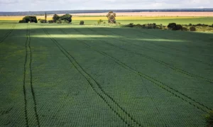 Leia mais sobre o artigo Agricultura vai querer voltar para mercado de carbono