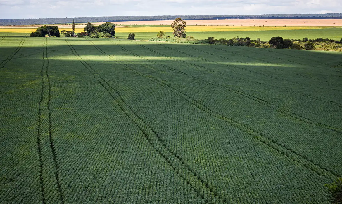 No momento, você está visualizando Agricultura vai querer voltar para mercado de carbono