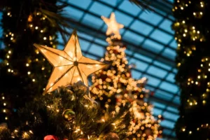 Leia mais sobre o artigo Descubra o significado dos símbolos do Natal