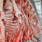 Exportação de carne bovina do Brasil cresce 4% com ajuda dos EUA, diz associação