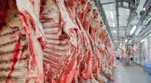 Leia mais sobre o artigo Exportação de carne bovina do Brasil cresce 4% com ajuda dos EUA, diz associação