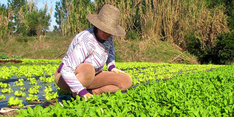 Você está visualizando atualmente Mulheres do Campo participam de Ciranda e Círculo de Construção da Paz