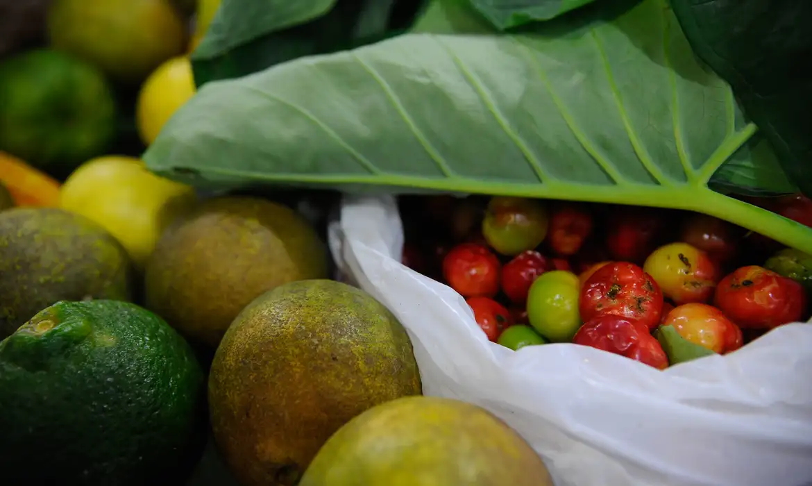 Você está visualizando atualmente Registro de novos agrotóxicos segue em alta no Brasil, diz Mapa