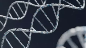 Leia mais sobre o artigo Cientistas podem ter achado a resposta para o TDAH em genes únicos