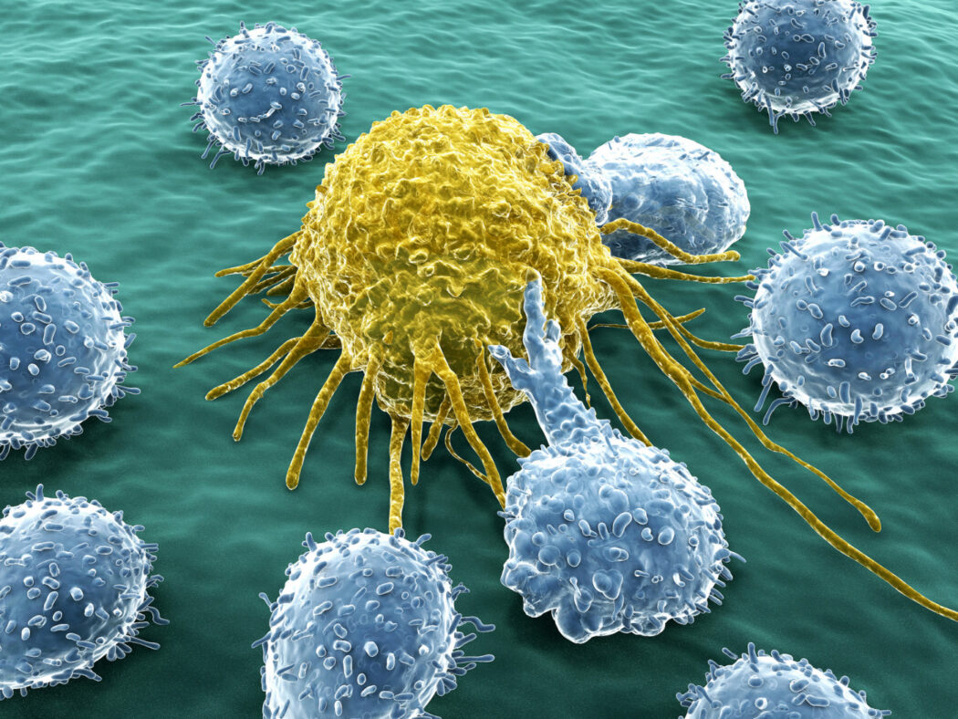 Você está visualizando atualmente O cálcio pode ser a chave para a cura do câncer, aponta estudo