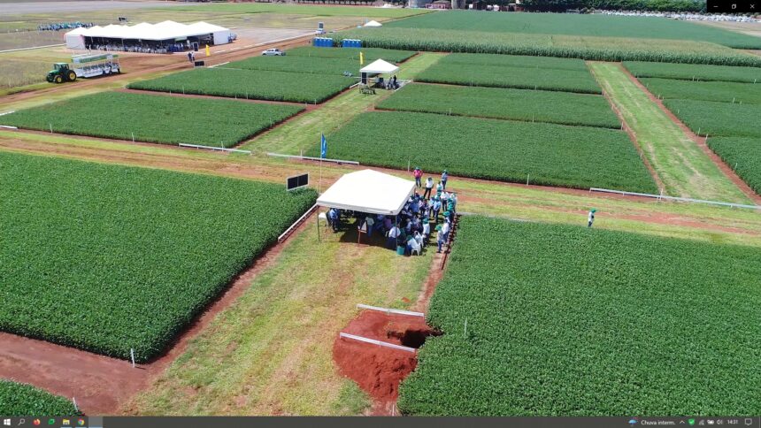 No momento, você está visualizando Fundação MT inicia dias de campo com novo formato e foco no cultivo e manejo da soja