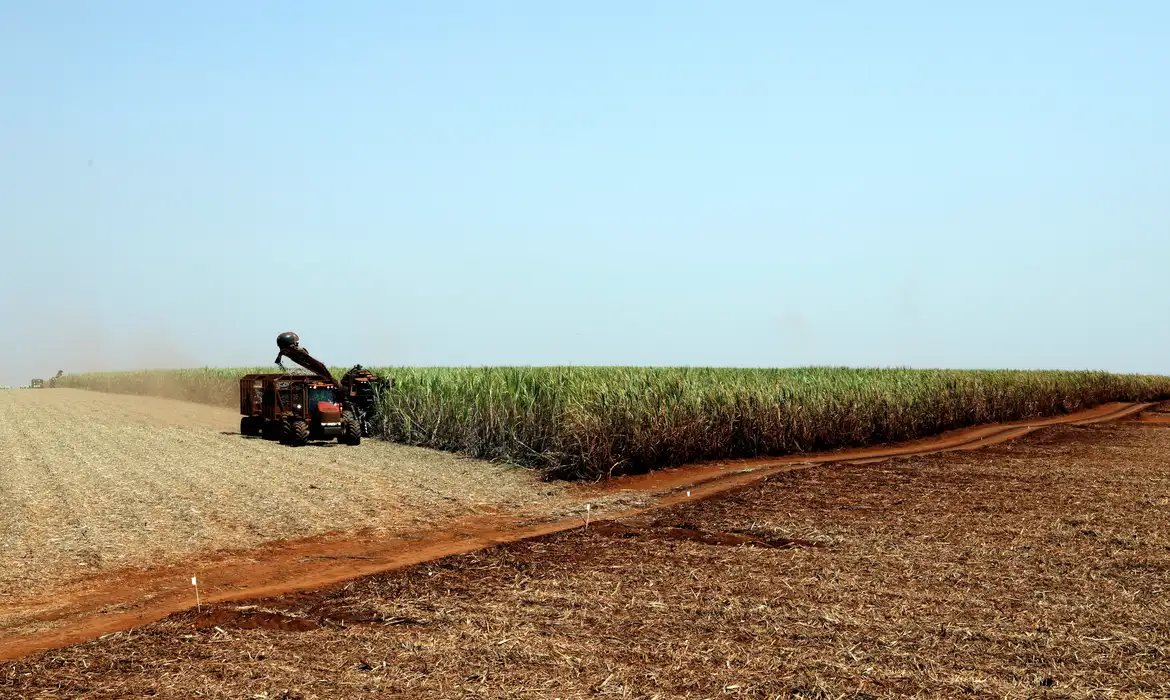 Você está visualizando atualmente Projeção da safra de grãos 2023/24 cai para 306,4 milhões de toneladas