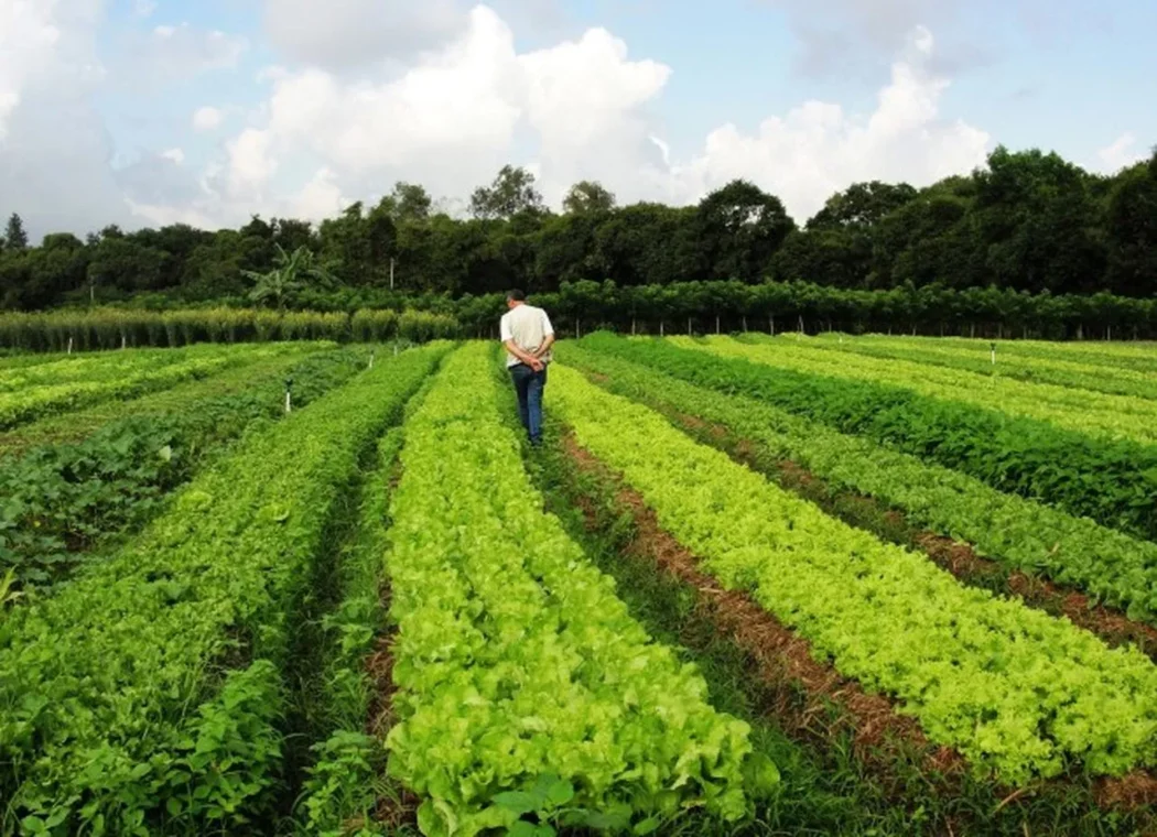 Você está visualizando atualmente Comissão aprova marco regulatório para a promoção da agroecologia