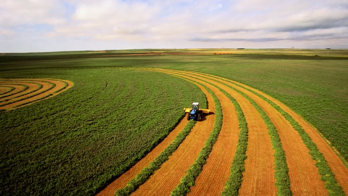 Você está visualizando atualmente Ministro Fávaro debate boas práticas do agro brasileiro com banco de desenvolvimento alemão