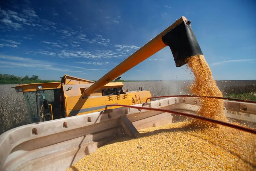 No momento, você está visualizando AgRural eleva previsão de 2ª safra de milho no Brasil com revisão na área plantada