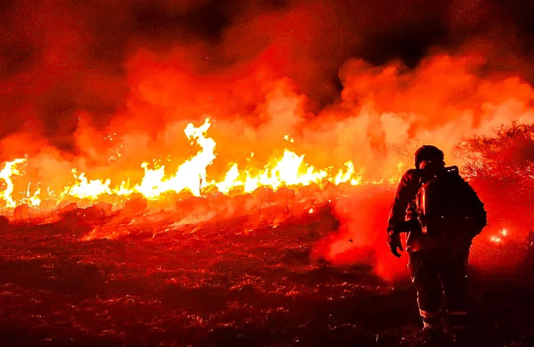 No momento, você está visualizando ALMT: Comissão discute ações de prevenção e combate a incêndios florestais em 2024