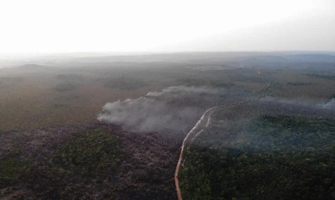 Você está visualizando atualmente Área queimada no Brasil cresce 248% em relação a janeiro de 2023