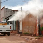 Ivermectina não é eficaz contra dengue, alerta Ministério da Saúde