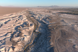 Leia mais sobre o artigo Las Vegas tem novo parque estadual com fósseis da Era do Gelo