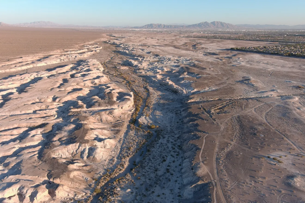 No momento, você está visualizando Las Vegas tem novo parque estadual com fósseis da Era do Gelo