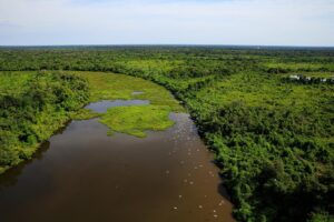 Leia mais sobre o artigo MT e MS desenvolverão plano integrado de combate a incêndios no Pantanal