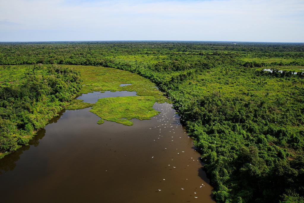 No momento, você está visualizando MT e MS desenvolverão plano integrado de combate a incêndios no Pantanal