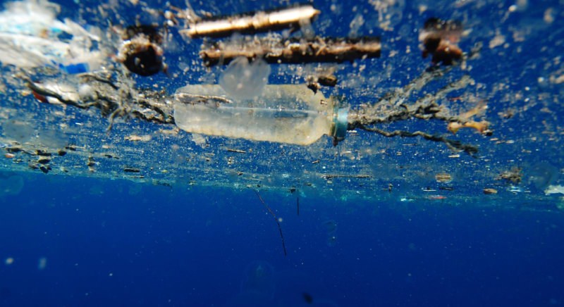 No momento, você está visualizando Jovem cria solução inovadora para combater microplásticos nos oceanos