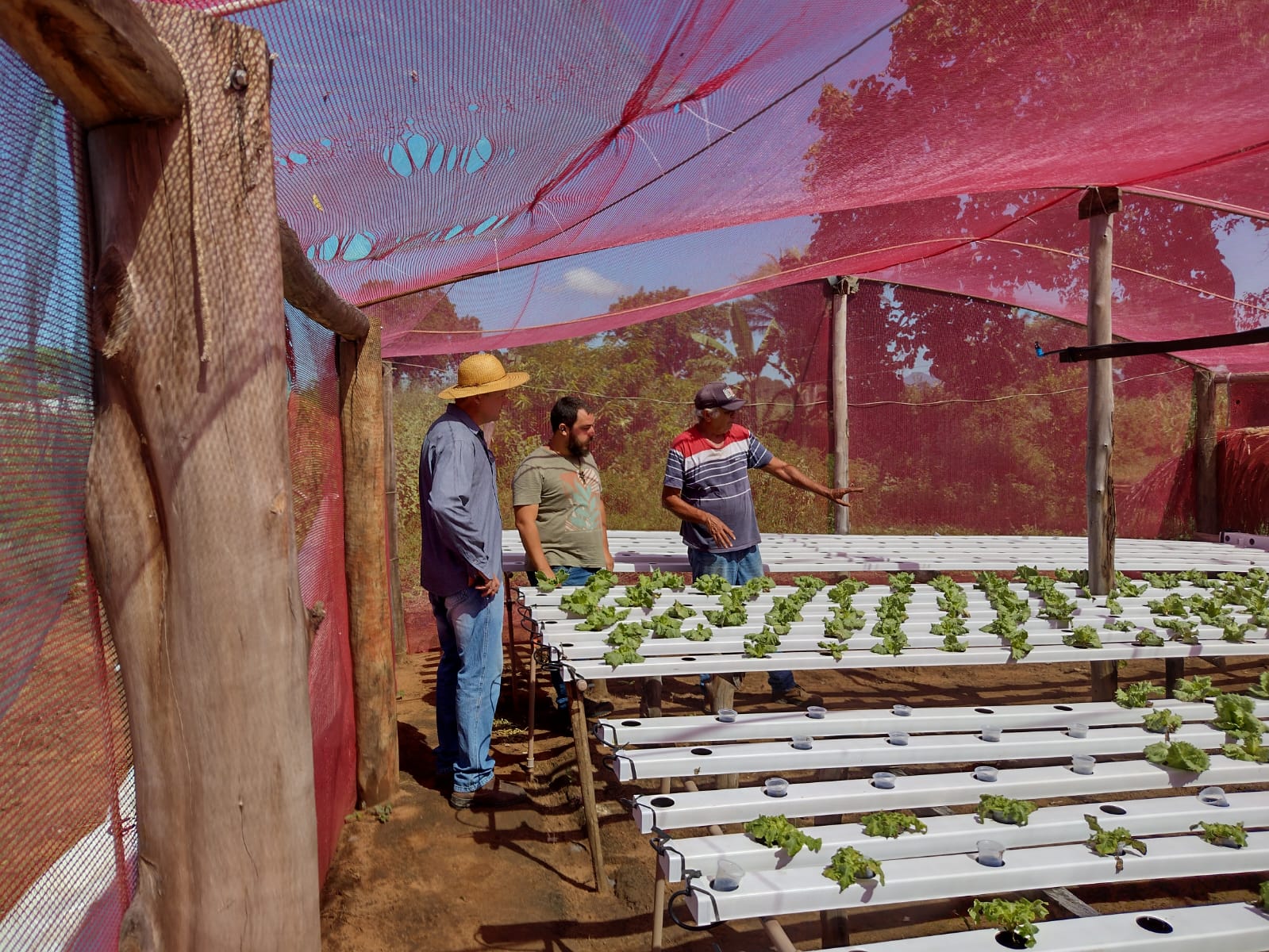 Você está visualizando atualmente Entrega de mudas de hortaliças beneficia pequenos produtores em Rondonópolis