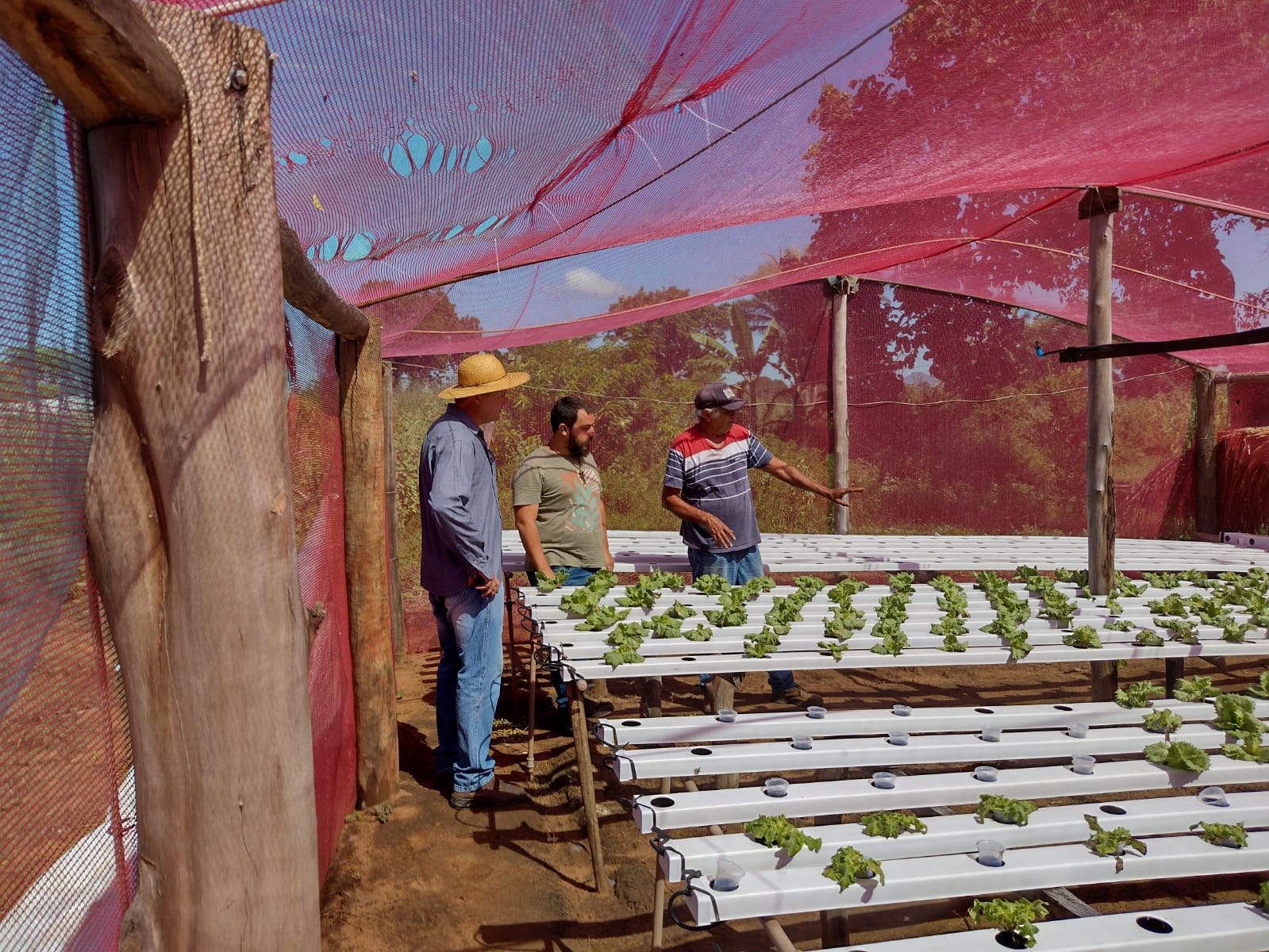 No momento, você está visualizando Entrega de mudas de hortaliças beneficia pequenos produtores em Rondonópolis