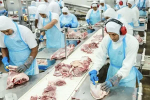 Leia mais sobre o artigo Exportações de carne suína acumulam alta de 17,6% neste ano