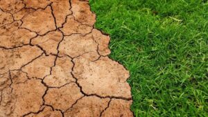 Leia mais sobre o artigo La Niña aumenta risco de seca em regiões do Brasil; veja previsão