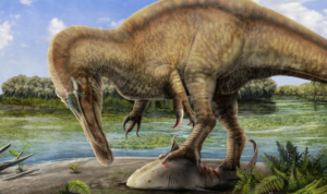 Leia mais sobre o artigo Nova espécie de dinossauro carnívoro é descoberta na Espanha