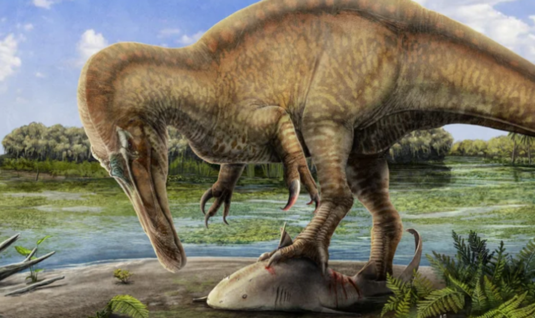 No momento, você está visualizando Nova espécie de dinossauro carnívoro é descoberta na Espanha