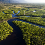 Brasil e França lançam programa de € 1 bi para economia na Amazônia