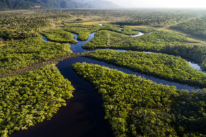 Leia mais sobre o artigo Brasil e França lançam programa de € 1 bi para economia na Amazônia