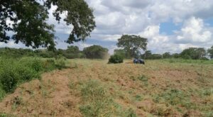 Leia mais sobre o artigo Prefeitura de Rondonópolis cria programa de incentivo para atender pequenos produtores rurais