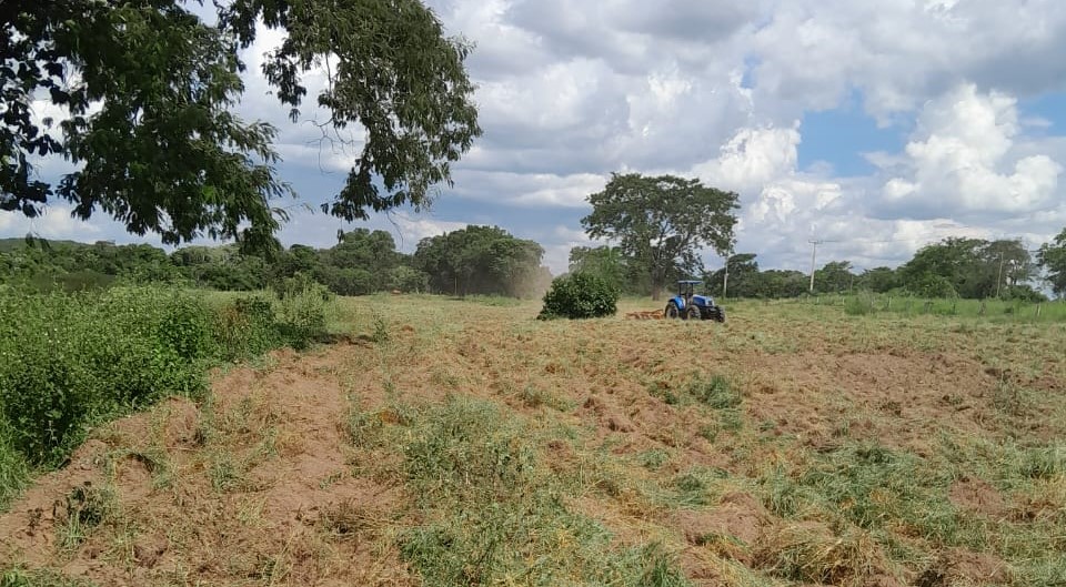 Você está visualizando atualmente Prefeitura de Rondonópolis cria programa de incentivo para atender pequenos produtores rurais