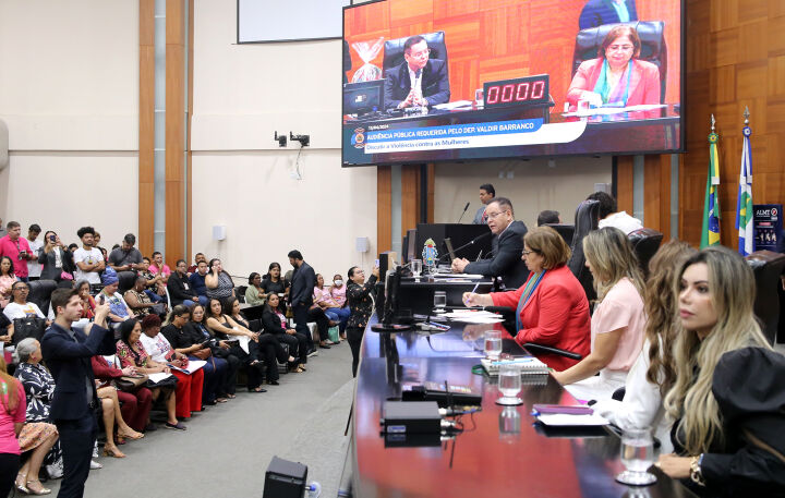Você está visualizando atualmente Audiência pública com ministra das Mulheres debate violência de gênero
