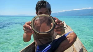 Leia mais sobre o artigo Conheça os bajaus, povo com mutação genética que ‘vive’ no fundo do mar