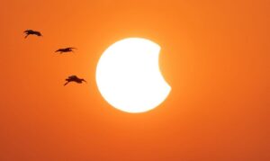 Leia mais sobre o artigo Por que as cores ficam diferentes durante um Eclipse Solar Total?