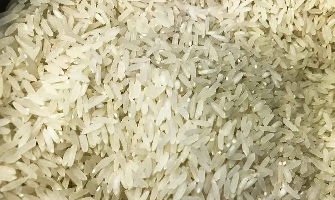 Você está visualizando atualmente Associações dizem que estoque de arroz para o Brasil está garantido