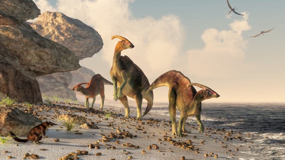 No momento, você está visualizando ‘Era de ouro’ de descobertas de dinossauros está longe de acabar