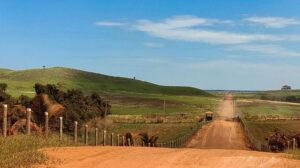 Leia mais sobre o artigo Exposição em Cuiabá reúne obras de fotógrafos com deficiência de MT