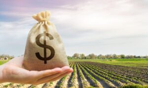 Leia mais sobre o artigo Agricultura negocia cerca de R$ 500 bilhões para o Plano Safra