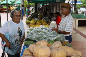 Leia mais sobre o artigo Cuiabá recebe 3ª edição da Feira de Produtores de Pequenas Propriedades e Agricultura Familiar