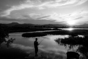 Leia mais sobre o artigo Exposição fotográfica sobre o Pantanal fica em cartaz até 30 de junho