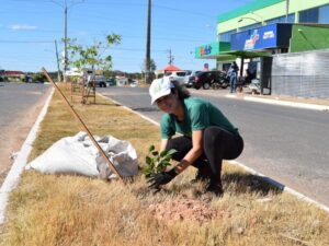 Leia mais sobre o artigo MEIO AMBIENTE: Prefeitura promove palestras, blitz ecológica e plantio de árvores