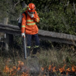 CBM abre processo seletivo para contratação de brigadistas com salário de R$ 2,4 mil