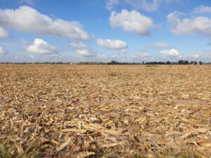 Leia mais sobre o artigo Do Mar Negro ao Meio-Oeste dos EUA, clima extremo ameaça a produção agrícola