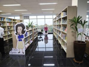 Leia mais sobre o artigo Cursos para bibliotecas públicas de Mato Grosso estão com inscrições abertas