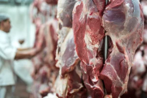 Leia mais sobre o artigo Exportação de carne bovina no 1º semestre é recorde, com 1,29 milhão de t